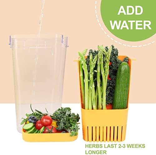 LUVCOSY Fresh Herb Keeper for Refrigerator, Storage Container for Cilantro - Image 5