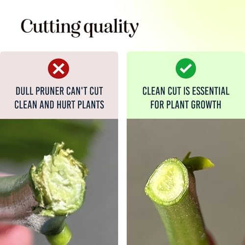 Ultra Sharp Pruning Shears Hedge Clipper – Cuts 3X Easier, Dual-Size Opening - Image 7