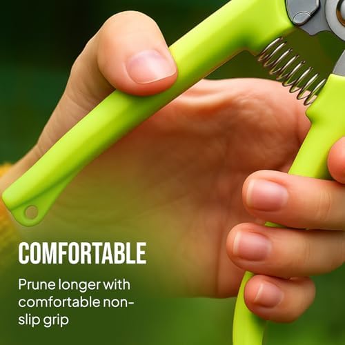 2-Pack Stainless Steel Gardening Scissors, Pruning Shears and Clippers - Image 6