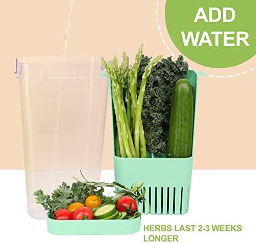 LUVCOSY 2 Pack Herb Keeper, BPA-Free Plastic Herb Saver - Image 5