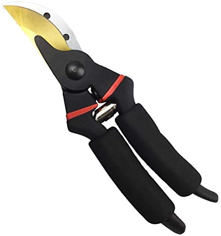 gonicc 8" Professional Premium Bypass Titanium Pruning Shears - Image 4