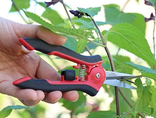 TABOR TOOLS K27A Micro-Tip Pruning Snips, Precision Snips - Image 5
