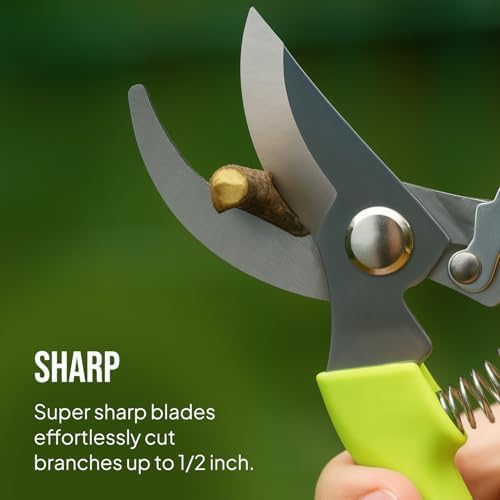 2-Pack Stainless Steel Gardening Scissors, Pruning Shears and Clippers - Image 4