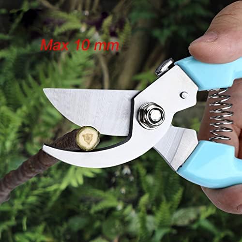 Curve Gardening Scissor with Sharp Stainless Steel Blade Garden Shears - Image 3