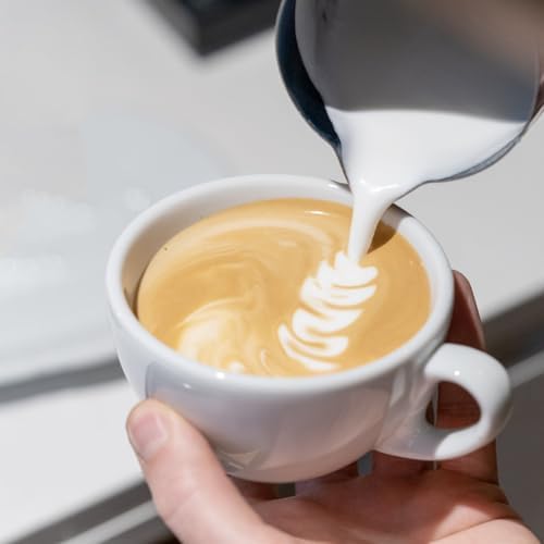 CASABREWS CASMP350 Milk Frothing Pitcher - Image 6