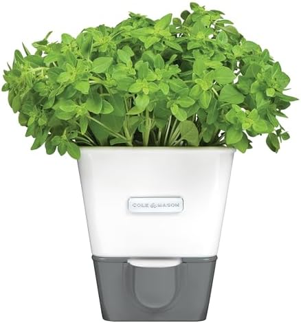 Cole & Mason Self-Water Herb Keeper by Unknown