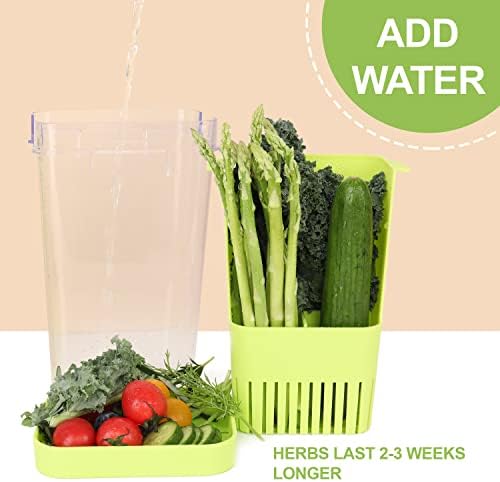 LUVCOSY Herb Keeper, BPA-Free Plastic Herb Saver - Image 5