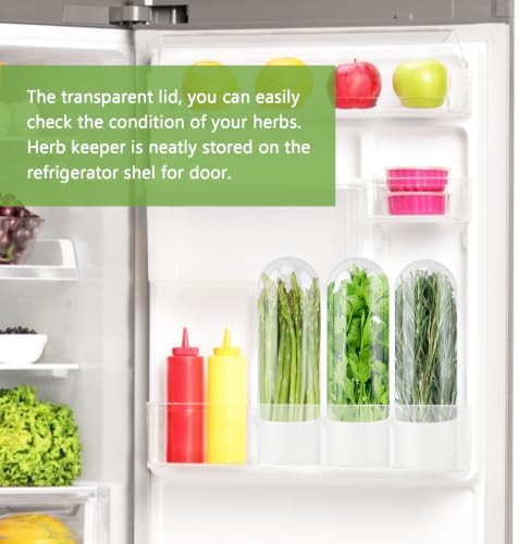 2 Pack Herb Saver for Refrigerator - Image 3