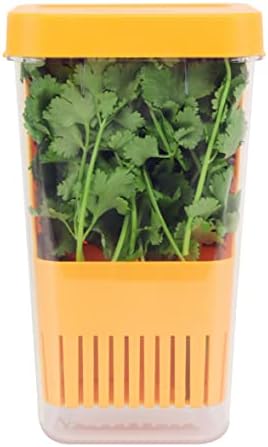 LUVCOSY Fresh Herb Keeper for Refrigerator, Storage Container for Cilantro by LUVCOSY