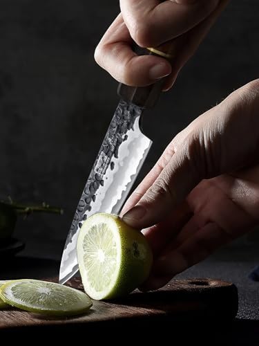 HOSHANHO Paring Knife 3.75", Razor Sharp Fruit Knife - Image 6