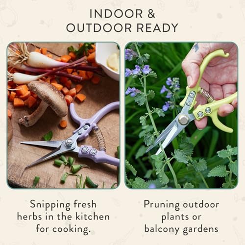 Modern Sprout Pruning Shears - Image 4
