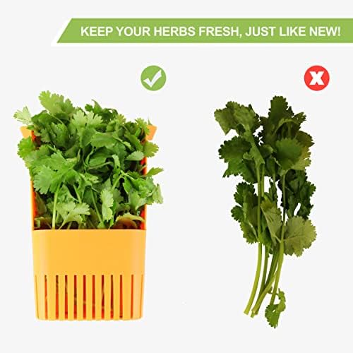 LUVCOSY Fresh Herb Keeper for Refrigerator, Storage Container for Cilantro - Image 6