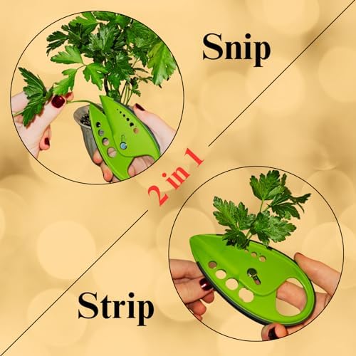 2-in-1 5-Blade Herb Scissors & Herb Stripper Set | 10-Hole Leaf stripper Stem - Image 6