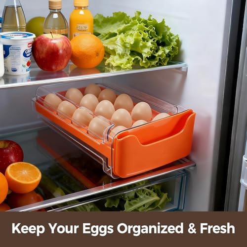Egg-Holder for Fridge, Fits Small to Large Eggs - Image 6