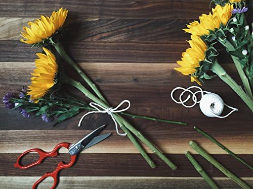 ZWILLING Kitchen Shears, Bottle Opener, Jar Lid Lifter, Dishwasher Safe - Image 4