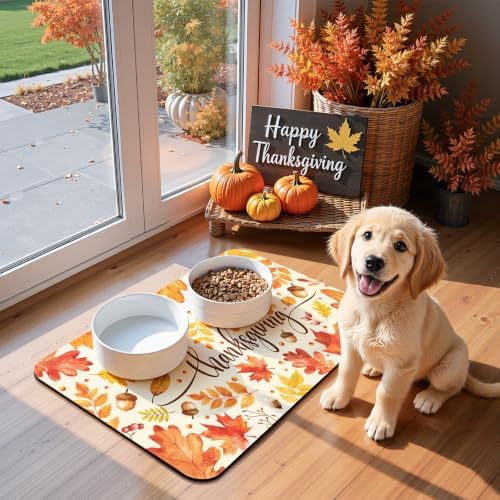 Findosom Thanksgiving Dish Drying Mat 12" x 20" Super Absorbent Coffee Mat - Image 6