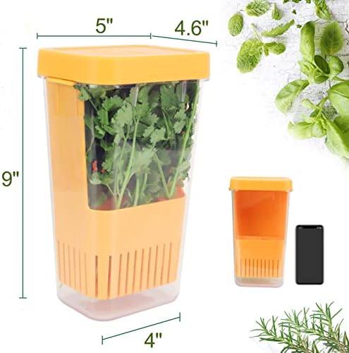 LUVCOSY Fresh Herb Keeper for Refrigerator, Storage Container for Cilantro - Image 2