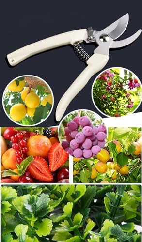 Garden Flower Shears Pruning Shears 6.9 inches Straight and Bypass Scissors - Image 4