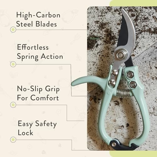 Modern Sprout Bypass Hand Pruners - Image 4