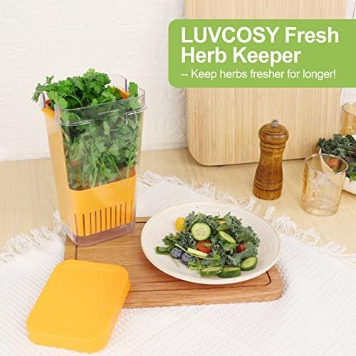 LUVCOSY Fresh Herb Keeper for Refrigerator, Storage Container for Cilantro - Image 3