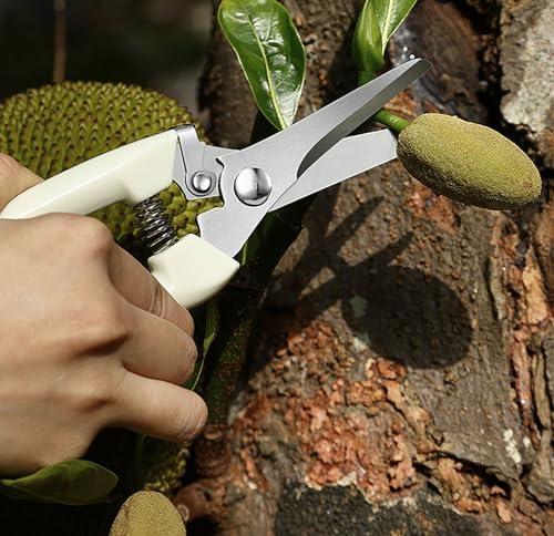 Garden Flower Shears Pruning Shears 6.9 inches Straight and Bypass Scissors - Image 6