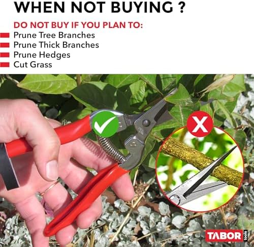 TABOR TOOLS K17A Pruning Snips – 7.5" – Stainless Steel Flower Pruning Scissors - Image 5