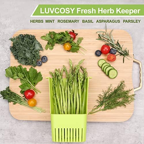 LUVCOSY Fresh Herb Keeper for Refrigerator, Storage Container for Cilantro - Image 4