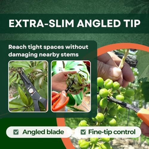 Saboten Japanese Harvesting Shears, Magnetic Springless, Fine-Tip Angled Blade - Image 3