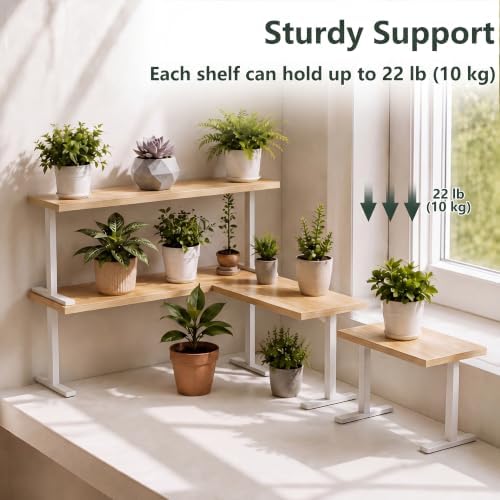 Golener Countertop Shelf, Kitchen Counter Organizer, Adjustable - Image 6