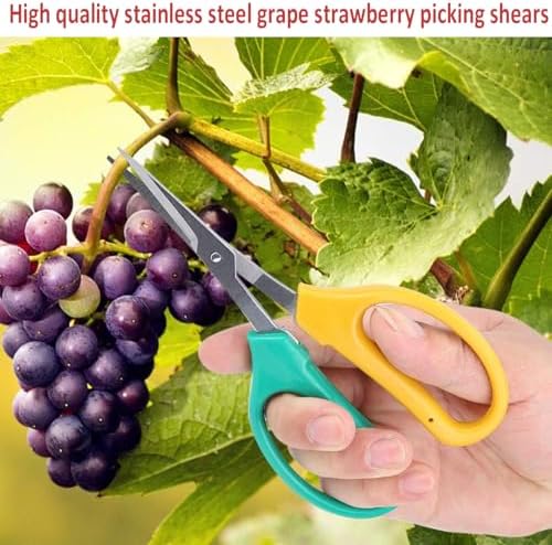 Garden Scissors Stainless Steel Garden Bonsai Pruning Shears - Image 2