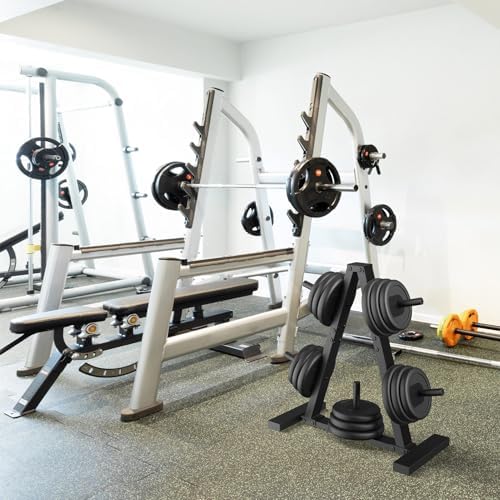 Weight Plate Rack, Weight Tree, Home Gym Storage Stand, Holds 300 lbs - Image 4
