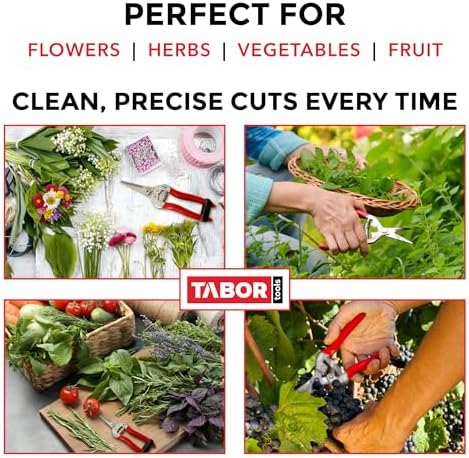 TABOR TOOLS K17A Pruning Snips – 7.5" – Stainless Steel Flower Pruning Scissors - Image 3