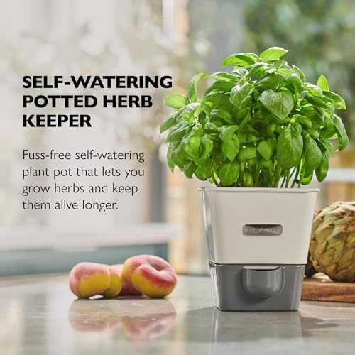 Cole & Mason Self-Water Herb Keeper - Image 2