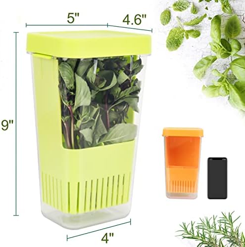 LUVCOSY Fresh Herb Keeper for Refrigerator, Storage Container for Cilantro - Image 2