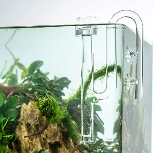 FZONE Aquatic Glass Lily Pipe Inflow - Image 6