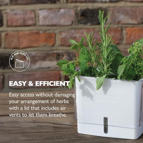Cole & Mason Fresh Herb Keeper - Image 3