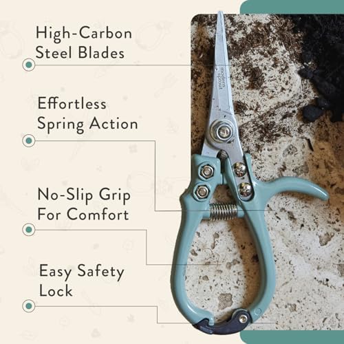 Modern Sprout Hand Pruners+Shears Set w/Blister -Gardening Tools - Image 4