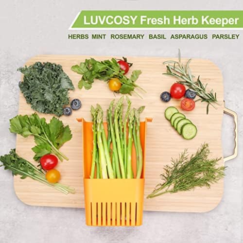 LUVCOSY Fresh Herb Keeper for Refrigerator, Storage Container for Cilantro - Image 4