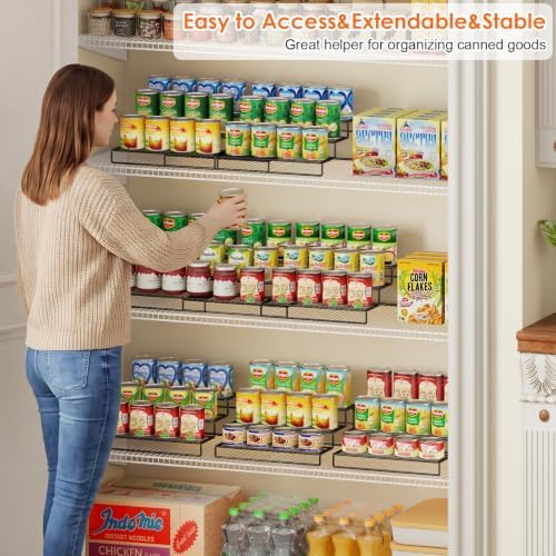 Dmevkic 3-Tier Expandable Can Storage Rack - Image 2