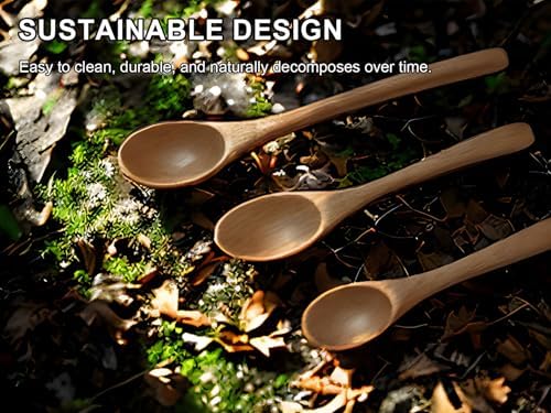 6PCS Small Wooden Spoons for Eating, 3 Sizes Wooden Teaspoons - Image 6