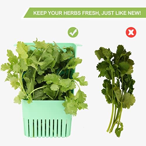 LUVCOSY Herb Keeper Set: 3 Pack Herb Saver+1 Pack Herb Scissors+2 Pack Herb - Image 4