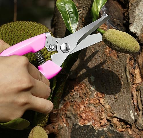 2pcs Garden Flower Shears Pruning Shears 6.9 inches Scissors Lightweight Plant - Image 5
