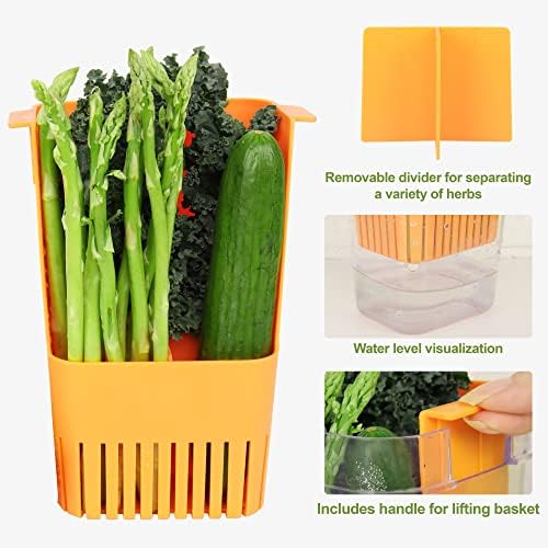 LUVCOSY Herb Keeper Set: 3 Pack Herb Saver+1 Pack Herb Scissors+2 Pack Herb - Image 5