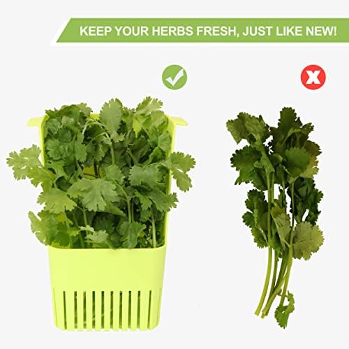 LUVCOSY Herb Keeper, BPA-Free Plastic Herb Saver - Image 6