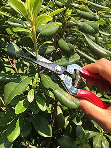 gonicc Micro-Tip Pruning Snips, Stainless Steel Garden Shears - Image 6