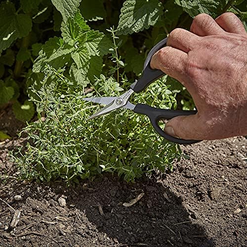 Mercer Culinary Herb Snips, 6 1/2-Inch - Image 5