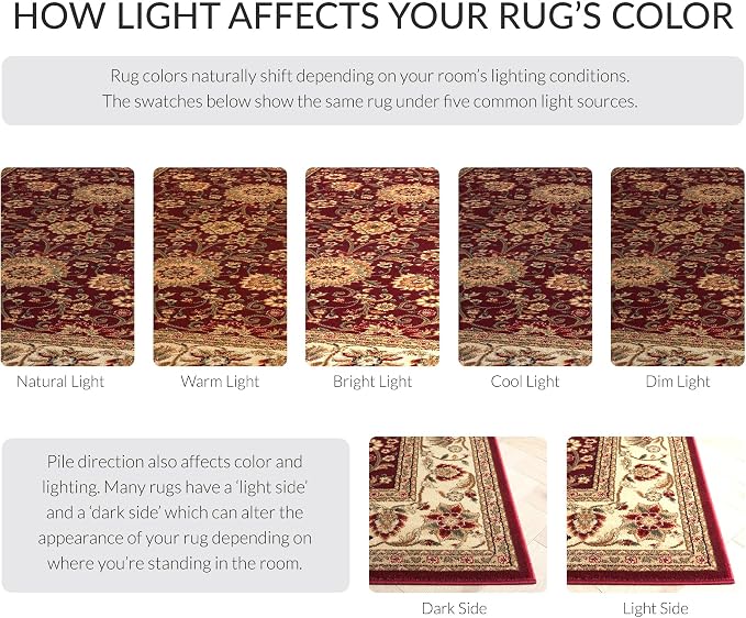 SAFAVIEH Lyndhurst Collection X-Large Area Rug - Image 8