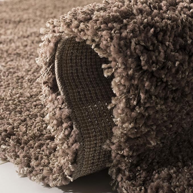 SAFAVIEH Area Rug 4x6 - Image 9